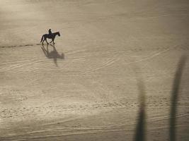 hombre montando a caballo solo en la arena a lo largo de la playa de raglan nueva zelanda con una silueta y una sombra foto