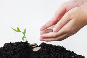 Little kid girl holding coins in hands with white background, human hand apply fertilizer young tree, growth concepts photo