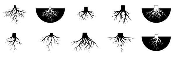 Ilustraciones de tree root vector set