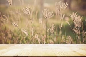 Perspective Old Wood on Grass flower in pastel and Soft style in Flare Light for Outdoor Background photo