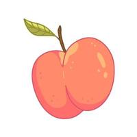 Peach with a leaf in cartoon style. Vector isolated illustration.