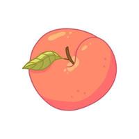 Peach with a leaf top view in cartoon style. Vector isolated illustration.