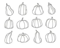 Black and white pumpkin cartoon doodle set. Contour cute vector illustration isolated on background.