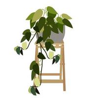 House plant on pottery. vector