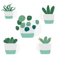 conjunto de plantas vector