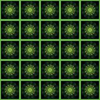 Colored Vector Pattern