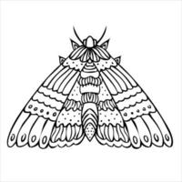 Night butterfly, moth. Hand drawn illustration. Black and white background.