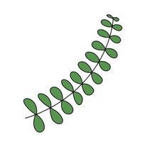 Fresh natural green leaf colored with stroke. Vector illustration in hand drawn style.