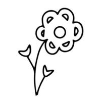 Delicate black and white sketch of a spring flower. Vector illustration in hand drawn style.