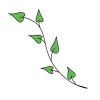 Fresh natural green leaf colored with stroke. Vector illustration in hand drawn style.