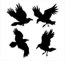 Set of realistic raven vector silhouettes for icons. Hand drawn style.