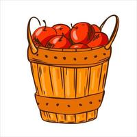 Autumn basket with ripe red apples in rustic style. Harvest concept. Vector illustration