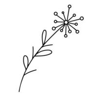 Delicate black and white sketch of a spring flower. Vector illustration in hand drawn style.