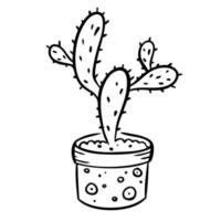 Vector illustration of a flower in a pot and sketch hand drawn on a white background