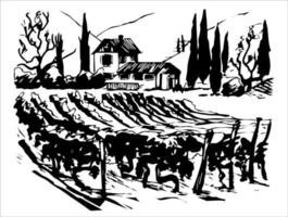 paisaje rural con villa y campos de viñedos. grabado vintage vector negro ilustración. aislado sobre fondo blanco. diseño dibujado a mano