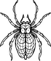 Spider realistic black and white line vector illustrations. Hand drawing style.