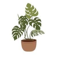 Monstera in a flower pot isolated on white. Tropical plant for interior decor of home or office. Vector illustration in flat style.