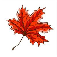 Red autumn maple leaf. Harvest concept. Vector illustration.