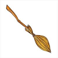 Old witch's broom on a long wooden handle. Vector illustration in hand drawn style