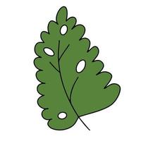 Fresh natural green leaf colored with stroke. Vector illustration in hand drawn style.