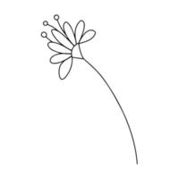 Delicate black and white sketch of a spring flower. Vector illustration in hand drawn style.