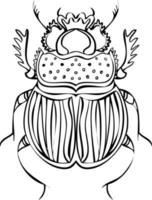 Beetle black and white line vector illustrations. Hand drawing style.