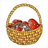 Autumn basket with ripe red fly agarics in rustic style. Witch harvest halloween concept. Vector illustration