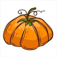 Ripe pumpkin in rustic style. Harvest concept. Vector illustration.