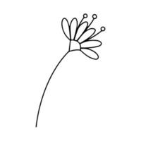 Delicate black and white sketch of a spring flower. Vector illustration in hand drawn style.