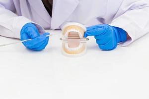 Asian female dentist is introducing knowledge with denture equipment in dental clinics. photo