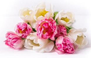 Beautiful tulips on white wooden background. Spring mood photo