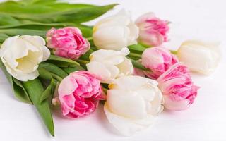 Beautiful tulips on white wooden background. Spring mood photo