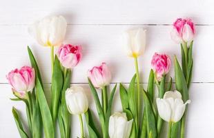 Beautiful tulips on white wooden background. Spring mood
