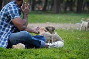 young boy with a cute puppies and on call in park photo