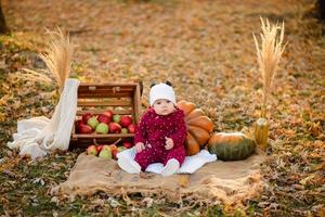 happy baby girl in the autumn park photo