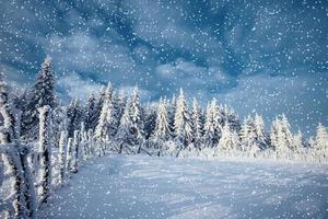 winter landscape trees and fence in hoarfrost, background with s photo