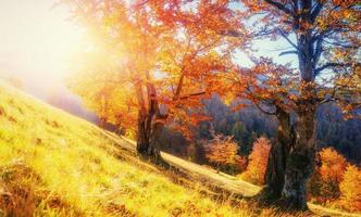 mountain range in the Carpathian Mountains in the autumn season. photo