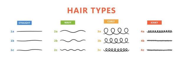 Classification of hair types - straight, wavy, curly, kinky. Scheme of different types of hair. Curly girl method. Vector illustration on white background