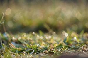 Abstract bokeh lights with soft light background photo