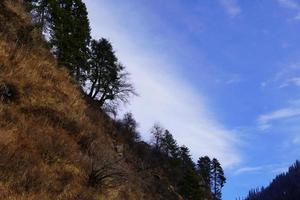 bella imagen paisajística de cielo árboles y nubes foto