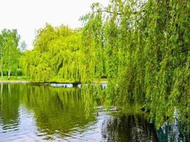 HDR Urban Park in London photo