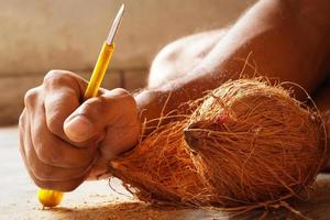 man peeling coconut from hand image indoor shoot photo