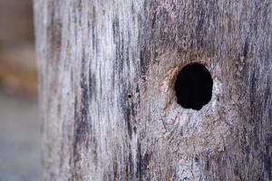 Close-up of old wood with a hole in the middle for bee entrance photo