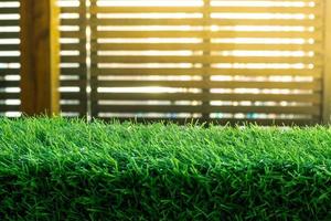 Green grass. natural background texture. fresh spring green grass. - Image photo