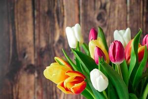 Fresh multicolored tulips on wooden background.