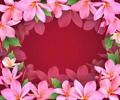 marco de flores, flor de frangipani rosa y espacio de copia.