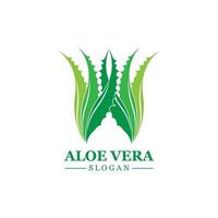Green plant aloe vera logo vector icon symbol many benefits