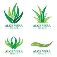 Green plant aloe vera logo vector icon symbol many benefits