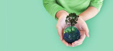 Hand hold plant on earth on white isolated background photo