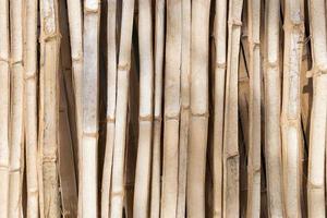 Fondo de madera de textura de bambú interior foto